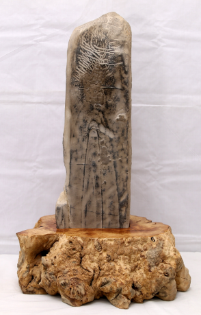 ����ʢ��