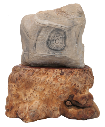 ��������2