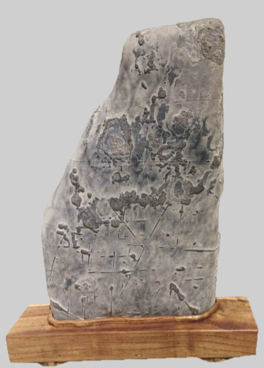 �����ʥ����