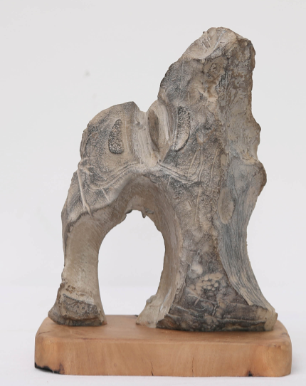 �����ж��졿