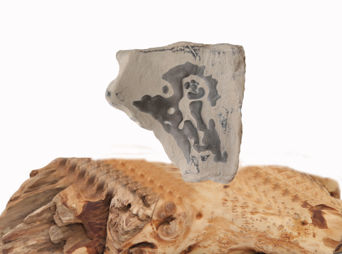 �����֡�